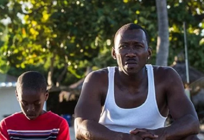 Moonlight: Sob a Luz do Luar (2017)
Dirigido por Barry Jenkins, estrelado por Trevante Rhodes, André Holland e Janelle Monáe.
A jornada de autodescoberta de um jovem afro-americano lidando com sua identidade e sexualidade em um bairro difícil de Miami