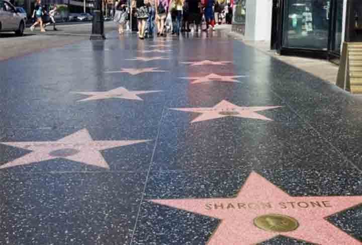 Em 2004, o comediante ganhou uma estrela na cobiçada Calçada da Fama de Hollywood por suas contribuições à indústria cinematográfica.

