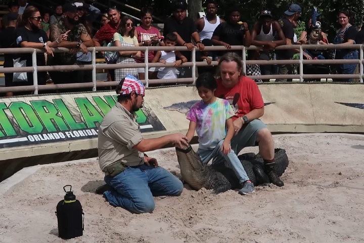 No Gator Wrestlin’, um tratador profissional mostra técnicas de segurança e curiosidades sobre esses animais.
