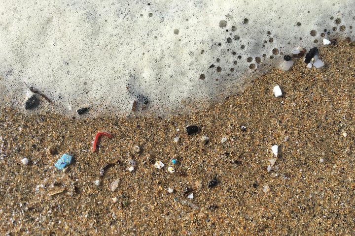 Essas pequenas partículas de plástico são um dos maiores problemas ambientais dos oceanos hoje.