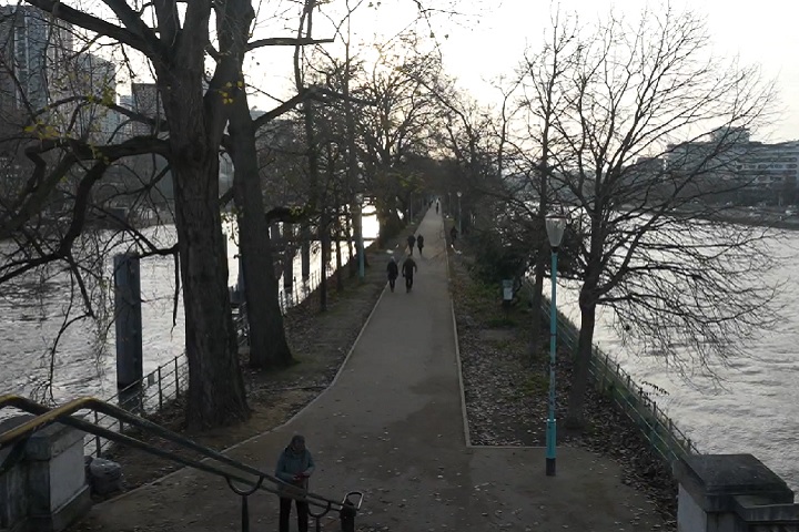 A Ilha dos Cisnes é artificial e localizada no rio Sena, em Paris, França, Foi criada em 1827 para proteger a ponte chamada Pont de Grenelle. 