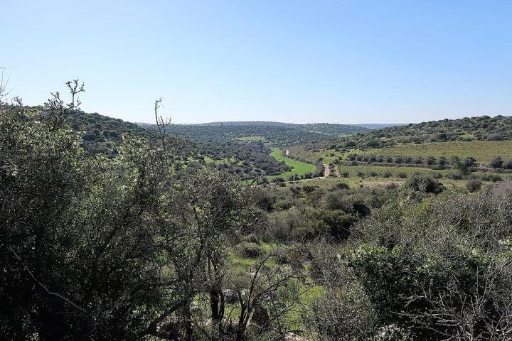 De acordo com os Evangelhos do Novo Testamento da Bíblia, Jesus nasceu em Belém, na Judeia (atual território de Israel e Palestina), durante o governo do rei Herodes.