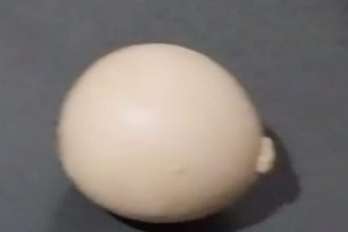 No dia que achei, a galinha tinha botado só ele, mas depois aela também botou alguns outros com formato diferente, bem arredondado e com um 'pininho' em cima, disse.