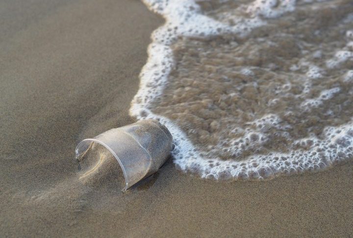 Algumas ações, como evitar o uso de descartáveis, não jogar lixo nas praias e escolher embalagens que possam ser recicladas podem contribuir para diminuir a quantidade de plástico nos oceanos. 