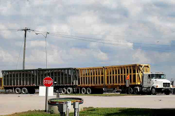 De acordo com a Conab (Companhia Nacional de Abastecimento), a produção brasileira de cana-de-açúcar gira ao redor de 680,0 milhões de toneladas, com uma produtividade de 81,1 toneladas por hectare. 