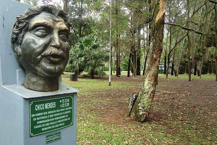Em 16 de dezembro de 2013, foi criada uma lei (12.892) declarando Chico Mendes patrono nacional do meio ambiente. 
