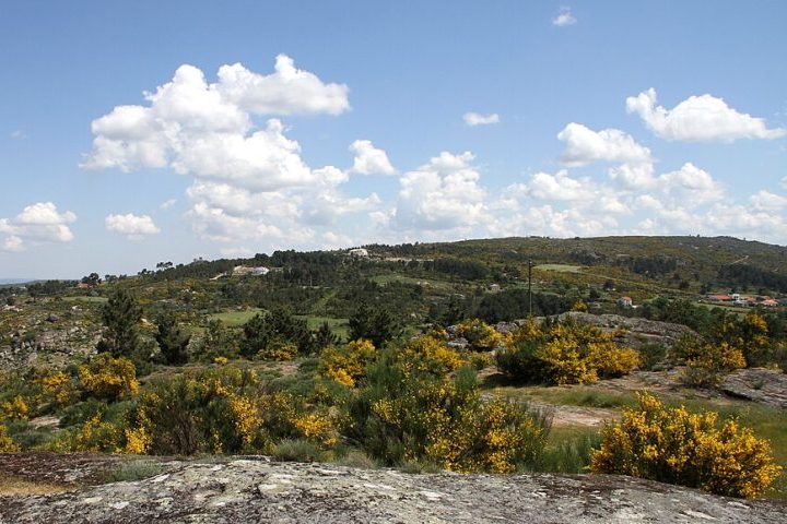 Ao longo do ano, a paisagem muda drasticamente, indo de vastos campos verdes e floridos na primavera a cenários brancos e gelados no inverno, oferecendo experiências muito distintas para os visitantes.