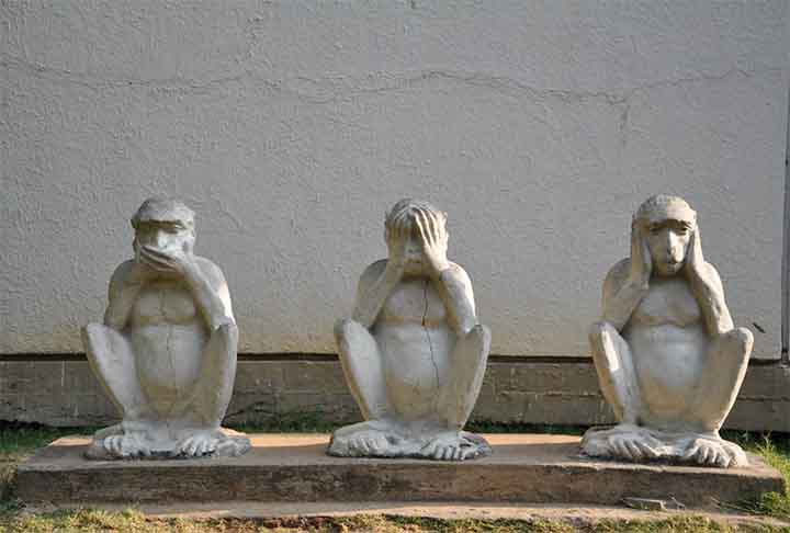 A única espécie de macaco no Japão recebe exatamente o nome do país, que dificilmente é visto pelas cidades porque seu habitat natural fica nas montanhas. Por sinal, influenciou a criação da famosa obra ‘Os três macacos da sabedoria’. Um deles fica com as mãos na boca, outro tapa os ouvidos e o último protege os olhos. 