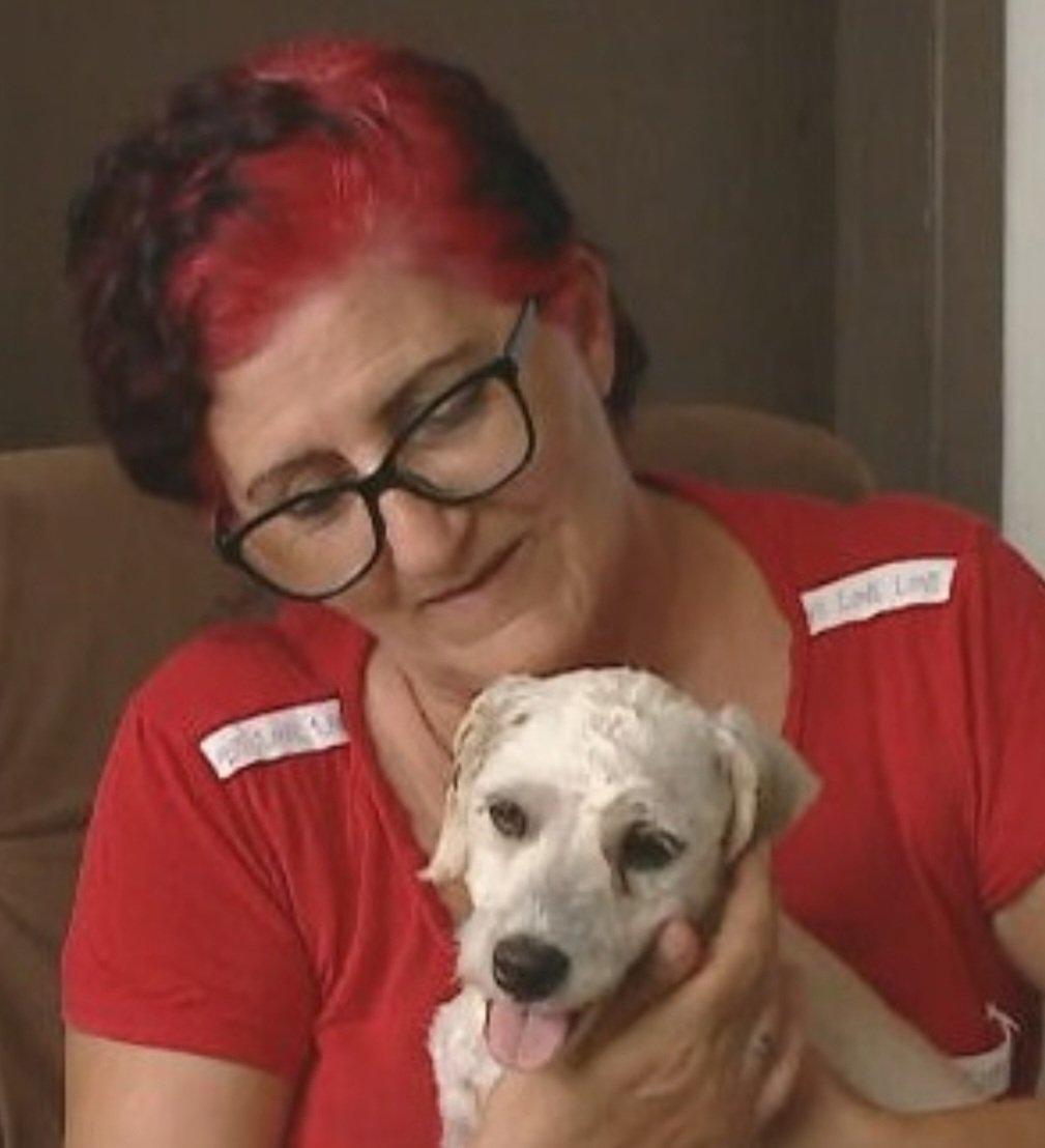 Em Santa Catarina, uma cadelinha foi encontrada dentro de um sofá usado, comprado a partir de anúncio na internet. A compradora não esperava que haveria esse 'brinde'! A cadelinha foi doada para adoção e passou a viver com a nova tutora.