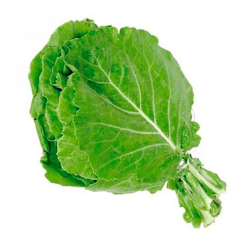  Vegetais de folhas grandes e escuras: Couve, espinafre e taioba, por exemplo, podem ser consumidas cozidas, em preparos gratinados, tostadas etc. São mais resistentes ao calor do que outras folhas verdes frescas, como os diversos tipos de alface. 