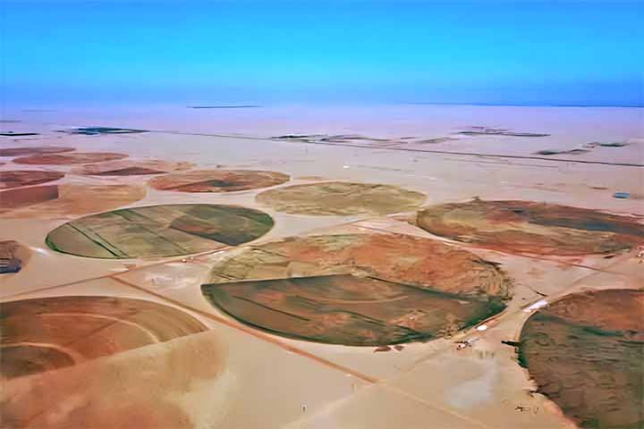 A Canal Sugar prevê que será possível produzir 900 mil toneladas de açúcar branco anualmente quando toda estrutura agrícola estiver instalada e funcionando ao máximo.

