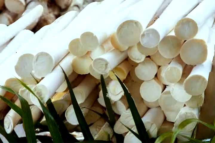 Ele é rico em fibras alimentares, que atuam no controle dos níveis de açúcar no sangue, juntamente com a redução do colesterol ruim. Assim, diminui o risco de doenças do coração e até mesmo diabetes.