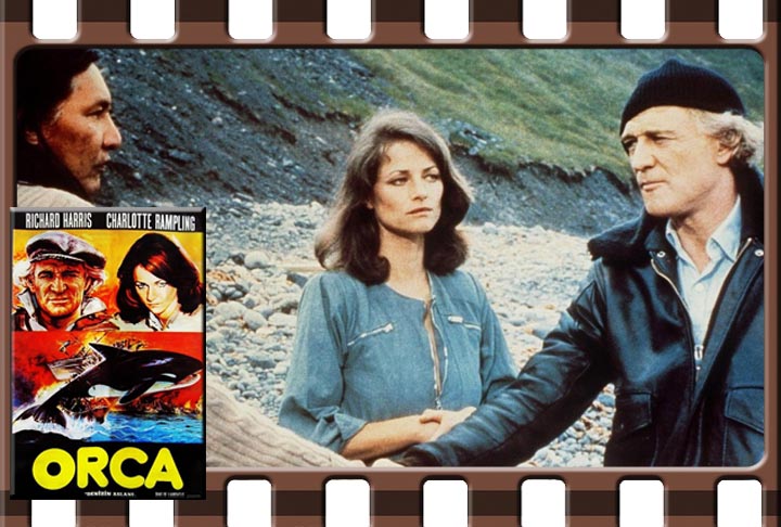 As orcas, apesar de uma certa confusão em relação a isso, não são baleias. Elas fazem parte da família dos golfinhos.  A fama equivocada se propagou por causa do filme Orca, de 1977, produzido nos Estados Unidos.