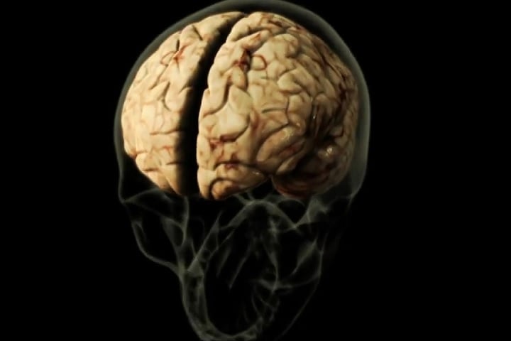 Apesar de não ser detectado diretamente no sangue, traços genéticos do parasita foram identificados no líquido cerebrospinal. 