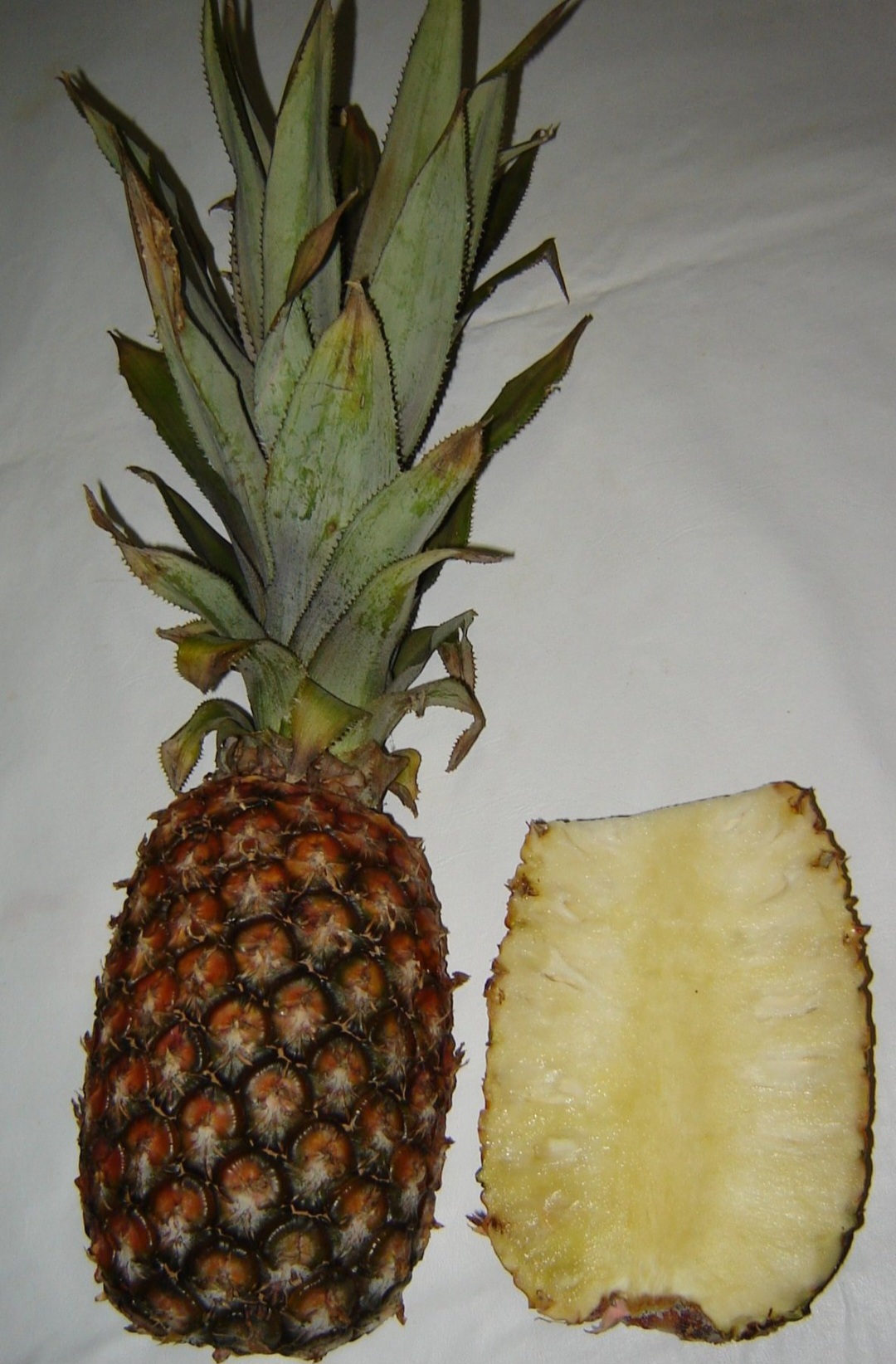 Além disso, o abacaxi é também uma importante fonte de vitamina C, responsável pelo fortalecimento do nosso sistema imune.