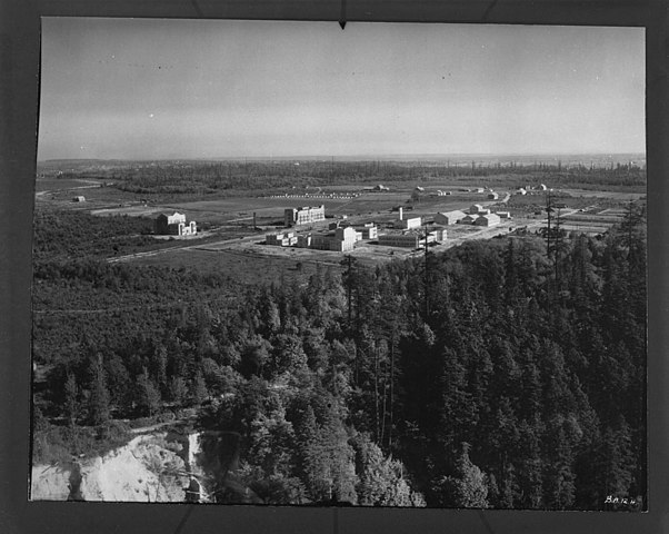 Ross ingressou na UBC em 1969, um pouco depois de se formar na escola secundária “Prince of Wales”.