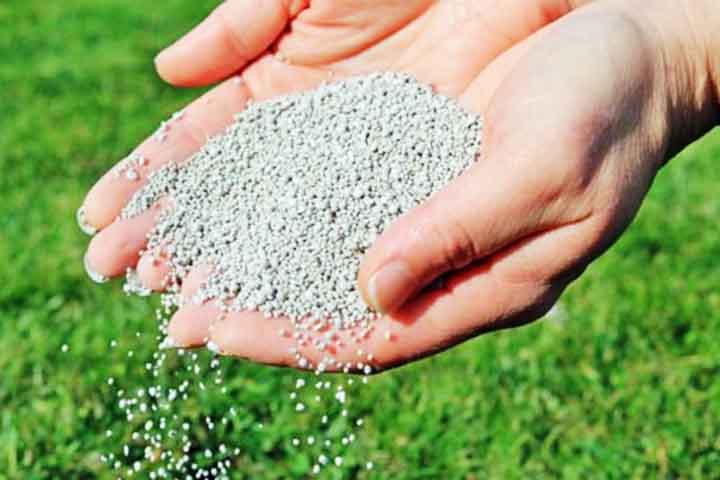 Essa alternativa sustentável demonstra o potencial da economia circular na agricultura, transformando resíduos em recursos valiosos para o cultivo de alimentos. Vamos, assim, conhecer sobre os fertilizantes mais utilizados na agricultura.