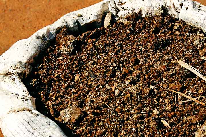 Uma alternativa intermediária são os fertilizantes organominerais, que combinam compostos orgânicos e minerais, proporcionando uma liberação gradual de nutrientes e melhorando a fertilidade do solo. Esses fertilizantes são uma opção sustentável que alia os benefícios dos dois tipos anteriores.