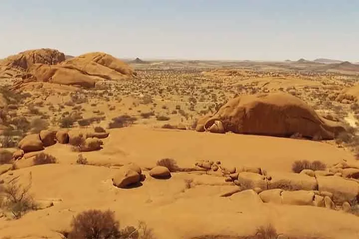 Os indivíduos podem realmente encontrar esqueletos de todas as descrições: navios, elefantes, baleias e pequenos lagartos, assim como existem restos mortais de tripulantes.