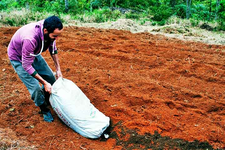 Outra categoria relevante são os biofertilizantes, que consistem em soluções líquidas obtidas a partir da fermentação de resíduos orgânicos.