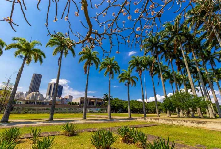 Nas décadas de 50 e 60, realizou projetos como o paisagismo do Balneário Municipal de Águas de Lindóia, em São Paulo, assim como o do Museu de Arte Moderna do Rio de Janeiro - MAM/RJ. Além do paisagismo da Praça da Cidadania da Universidade Federal de Santa Catarina, onde situa-se o Prédio da Reitoria, em Florianópolis.