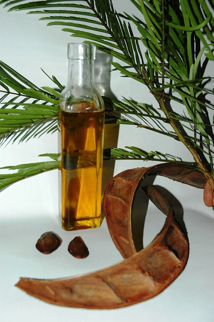 Pracaxi – Seu óleo extraído das sementes tem alto poder umectante e ajuda a reduzir manchas. Encontrado em cremes clareadores, óleos capilares e produtos pós-sol.
