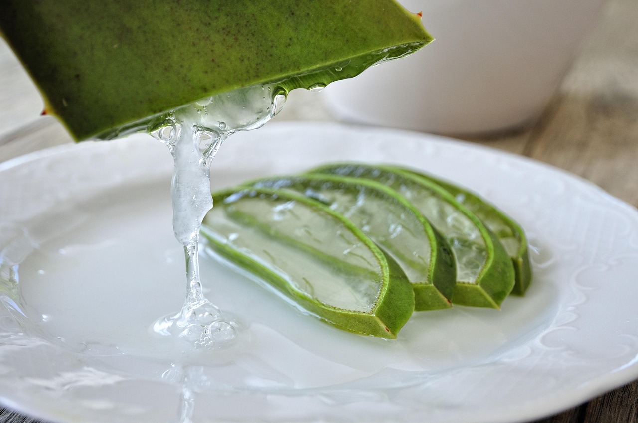 Aloe vera – Suas folhas contêm um gel rico em vitaminas e enzimas que acalmam e hidratam a pele. É usado em cremes faciais, géis pós-sol e produtos para queimaduras.
