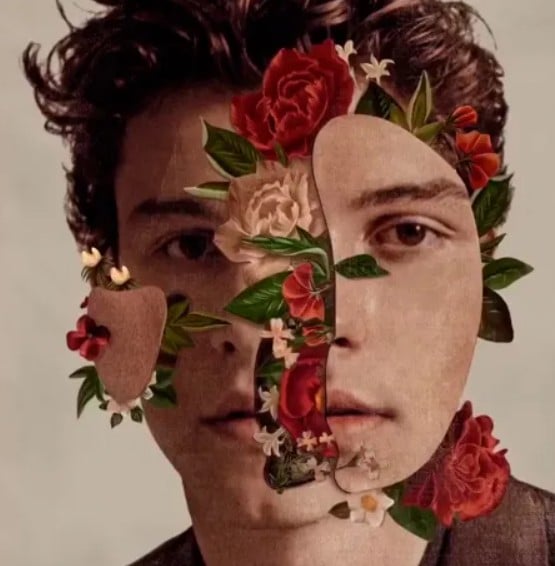 Na turnê, o cantor irá promover o álbum “Shawn”, o quinto de estúdio na carreira, que tem canções inéditas como “Heart of Gold”, “Why Why Why” e “Nobody Knows”. 
