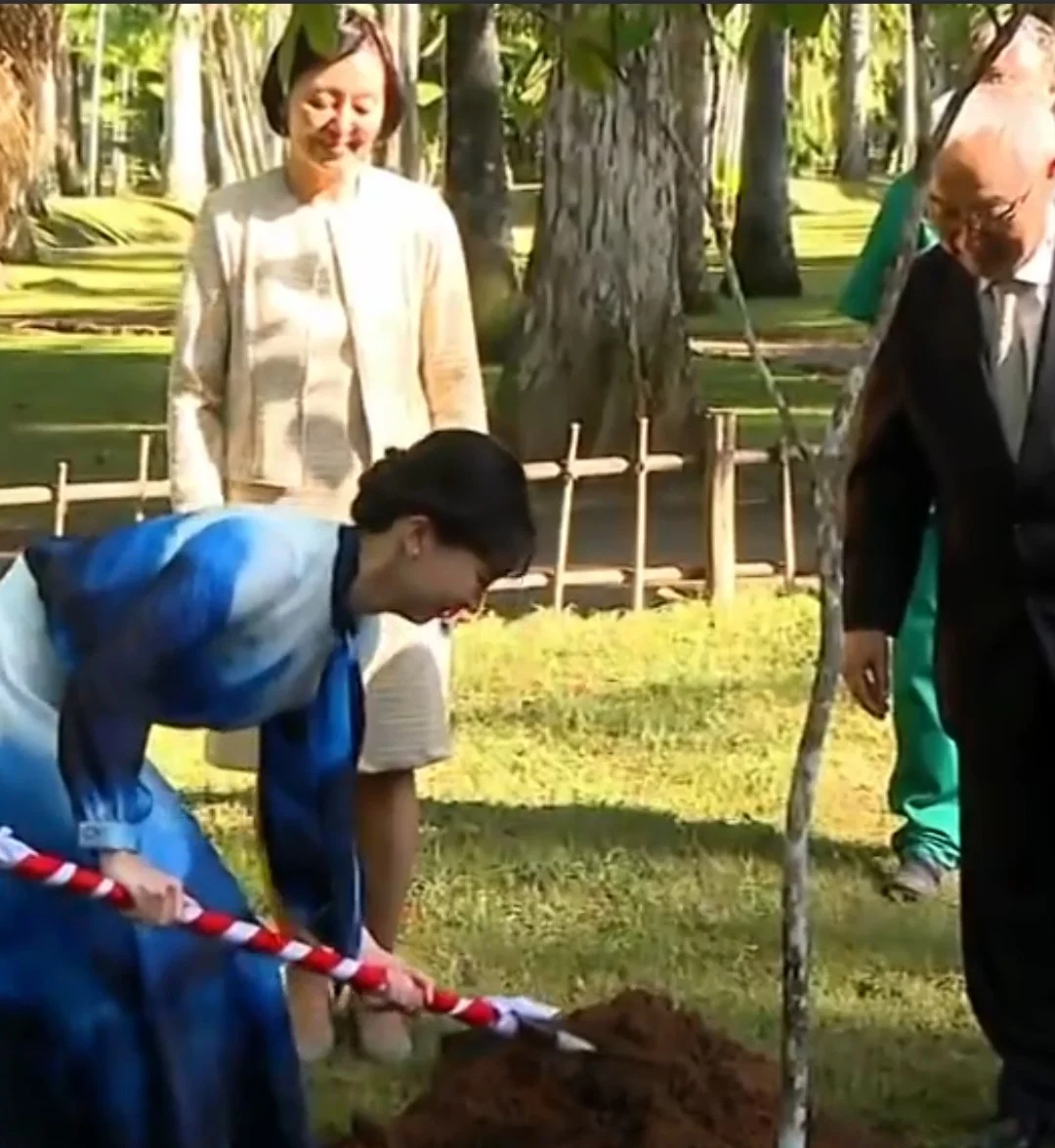 No dia 13/6, Kako esteve no Jardim Japonês do Jardim Botânico, no Rio de Janeiro. O espaço foi reformado para receber a comitiva imperial. A princesa plantou uma muda de ipê amarelo