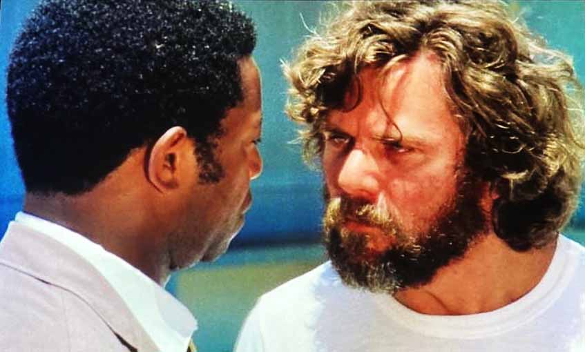 Em 1977, Reginaldo Faria ganhou projeção como o protagonista do filme “Lúcio Flávio, o Passageiro da Agonia”, do cineasta argentino naturalizado brasileiro Héctor Babenco (1946 - 2016). 

