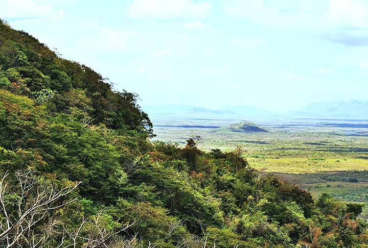 Uma das maravilhas do Brasil é justamente a imensa quantidade de espécies de animais. Porém,  algumas delas correm sérios riscos de extinção