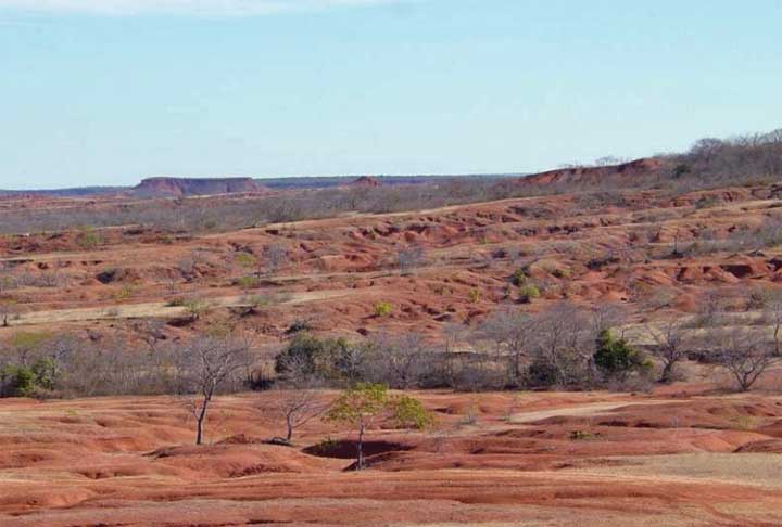 Além da ação do homem, como o crescimento indiscriminado, este processo também tem como culpado fatores da natureza como o aquecimento global e a erosão do solo frágil.