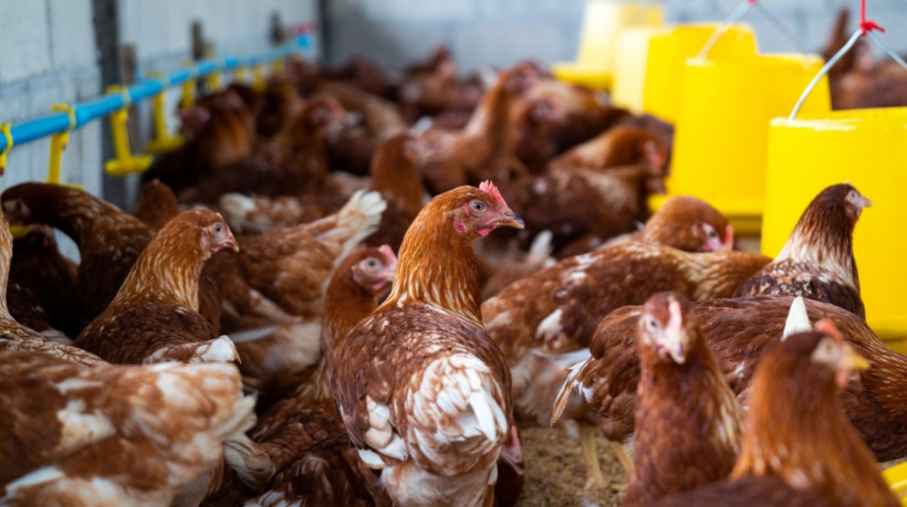 O estudo foi uma parceria entre a Univesidade Estadual Paulista e a universidade canadense de Calgary,