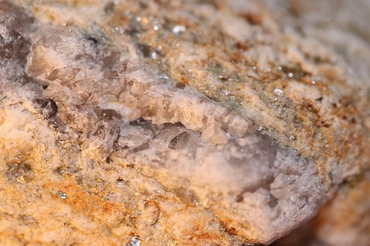 Segundo especialistas, os ossos dele são tão densos que são cerca de 150% mais rígidos do que granito!