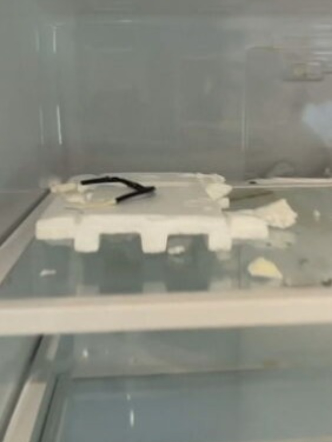 Depois que o morador abriu a porta, o macaco saiu assustado, de forma brusca. Ele chegou a causar danos na geladeira.