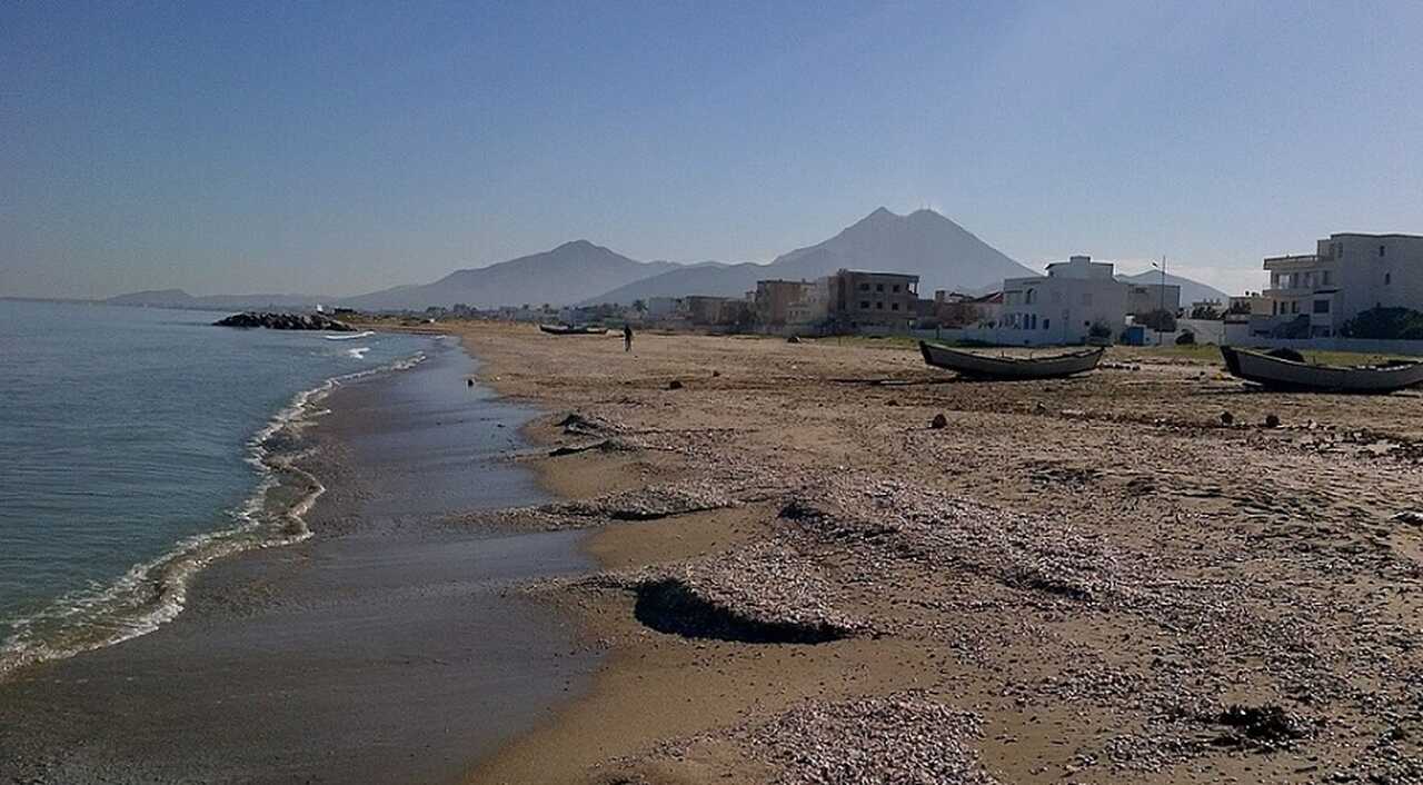 A erosão das praias tunisianas é um reflexo de um desafio maior, que envolve questões ambientais, sociais e econômicas. A conscientização e ações efetivas são essenciais para preservar as belezas naturais do país e seu patrimônio turístico.