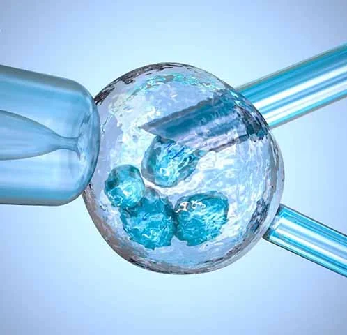 A identificação da incompatibilidade genética do casal ocorreu durante testes com embriões gerados no processo de fertilização in vitro. 

