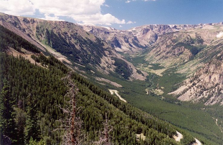 Segundo Greg Pederson, paleoclimatologista do Northern Rocky Mountain Science Center do US Geological Survey e principal autor do artigo, embora a temperatura seja o principal fator que determina a elevação da linha de árvores, variáveis como umidade, vento, neve e impacto humano também influenciam.