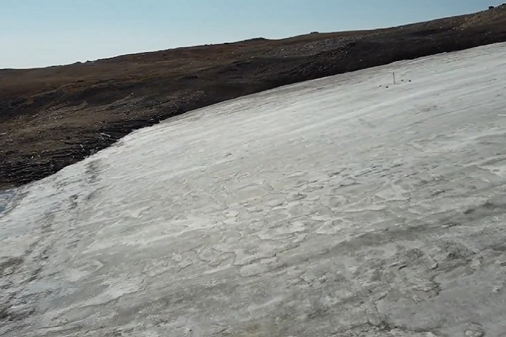 “Esta é uma evidência bastante dramática de mudança de ecossistema devido ao aquecimento da temperatura”, afirmou o professor.