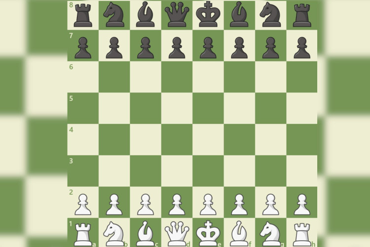 Plataformas como chess.com e lichess.org oferecem jogos gratuitos, análise de partidas, treinos com bots, puzzles e até interação social.