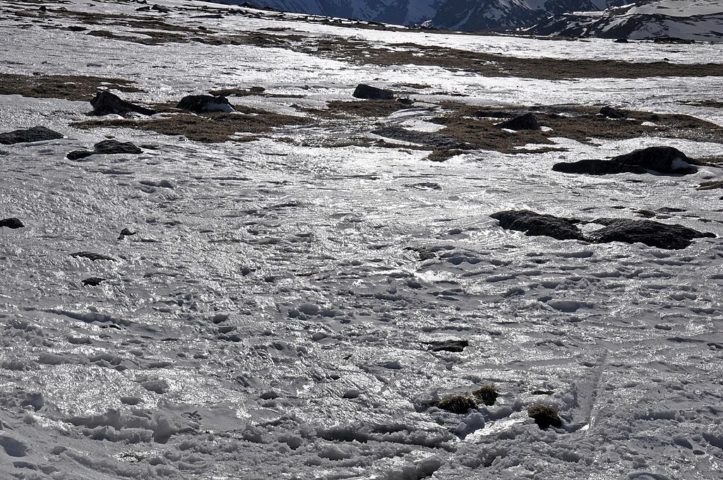 Os pesquisadores destacam que as manchas de gelo, ao contrário das geleiras, acumulam gelo de forma lenta e contínua, preservando materiais como pólen, carvão e macrofósseis. 