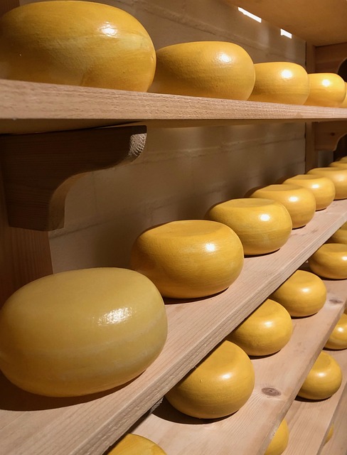 Gouda – Esse queijo semiduro surgiu na cidade de Gouda, na Holanda, e tem sabor levemente adocicado e textura lisa. É um dos queijos mais exportados do mundo e pode ser jovem ou envelhecido.