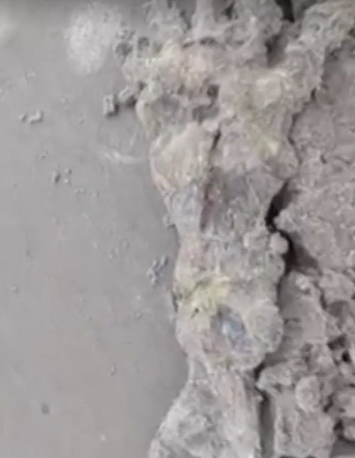 Um casal caminhava tranquilamente pela areia da praia quando tropeçou em um esqueleto que parecia de uma  mão bem grande. 