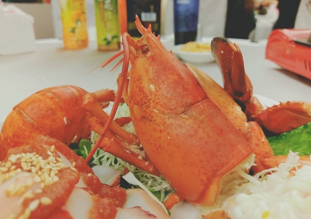 É fundamental que a pesca de lagostas seja feita de forma sustentável, evitando a sobrepesca e o desequilíbrio do ecossistema. Assim, em algumas regiões, são implementadas medidas de proteção, como a definição de áreas de defesa e a regulamentação da pesca.
