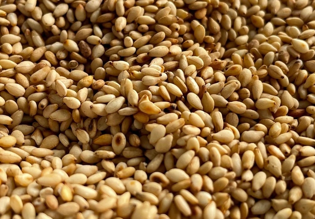 Dessa forma, evidências arqueológicas sugerem que ele foi cultivado na Civilização do Vale do Indo (Índia e Paquistão) há 4.300 anos antes de Cristo. Por lá, formou-se uma cultura importante para a produção de óleo e a expansão desta semente. 