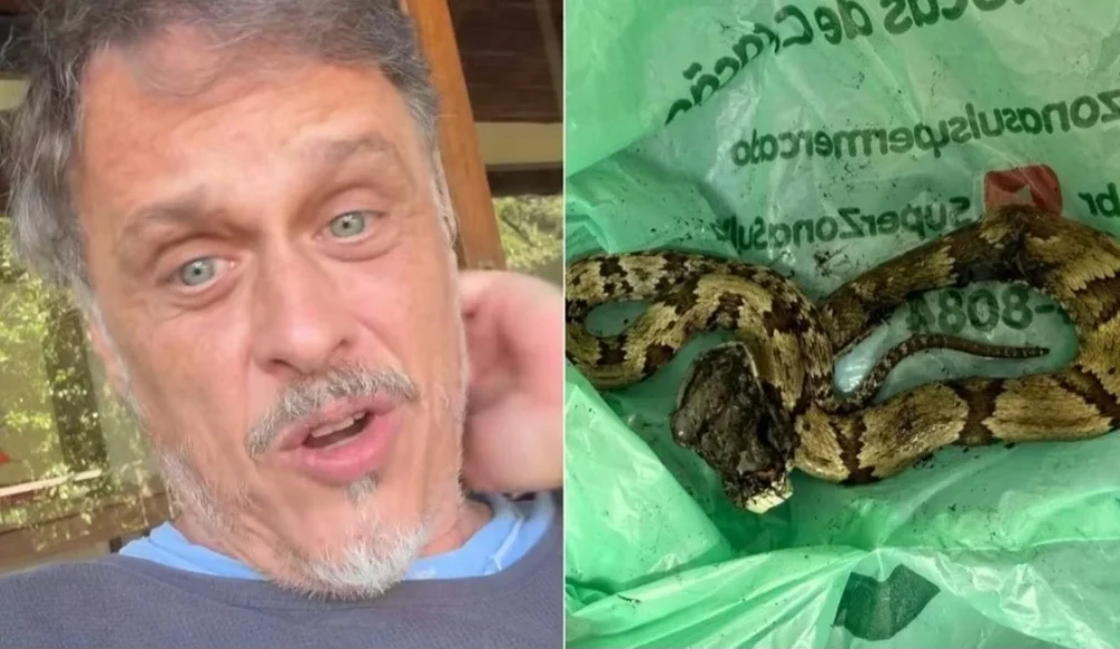 O ator Guilherme Fontes, que fez sucesso em novelas da Globo, foi picado por uma cobra e postou nas redes sociais. Ele disse que a jararaca entrou em sua casa e deixou duas bolhas no seu dedo indicador. 