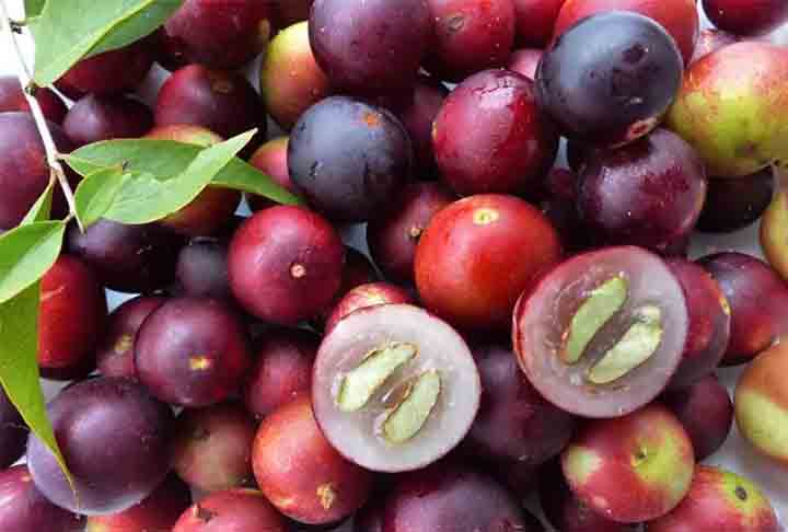Camu-camu - Originário da Amazônia, tem sabor extremamente ácido e teor altíssimo de vitamina C, mais de 30 vezes o do limão. Usado como suplemento imunológico, seu suco exige adoçante natural ou diluição, e entra em bebidas funcionais e sorvetes naturais.