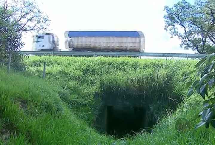 Assim, diversas estradas no Brasil vêm recebendo as chamadas passagens de fauna. São pistas que ligam um lado ao outro da rodovia, por cima ou por baixo, para que os bichos andem por ali, sem atravessar a pista. 