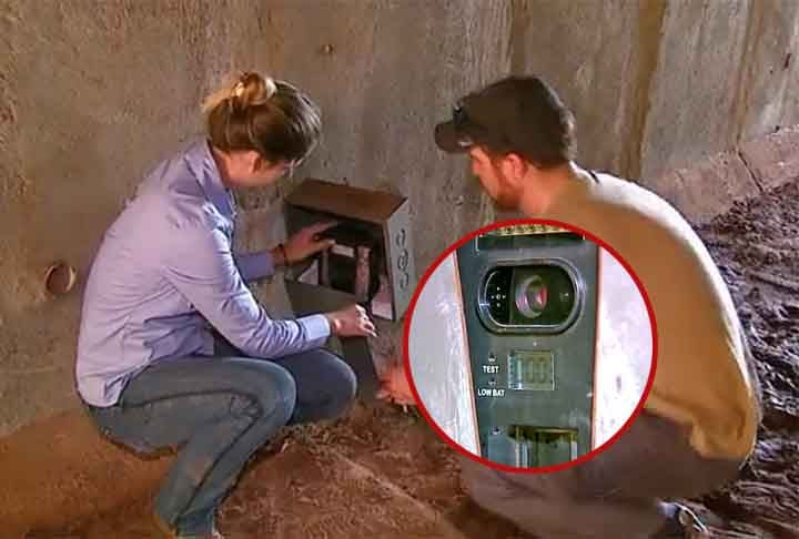 Trinta passagens subterrâneas são fiscalizadas por um sistema de câmeras 24 horas por dia. E mais de 6 mil animais silvestres foram flagrados usando esses caminhos em pouco mais de um ano, o que demonstra a eficácia do sistema. 