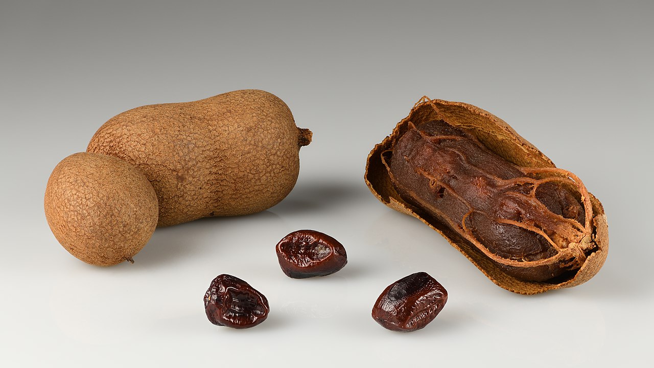 Tamarindo - Originário da África, hoje é amplamente cultivado na Ásia e América Latina; tem polpa agridoce com acidez marcante. Ajuda na digestão e tem propriedades laxativas; para reduzir o azedo, pode-se cozinhá-lo com açúcar, sendo usado em molhos, chutneys e balas.